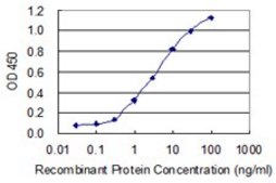 Monoclonal Anti-KRTHA4, (C-terminal) antibody produced in mouse clone 3E5, purified immunoglobulin, buffered aqueous solution