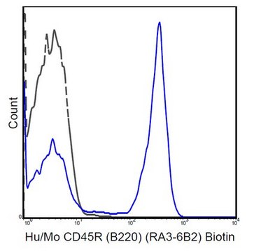 Anti-CD45R (B220) Antibody (human/mouse), Biotin, clone RA3-6B2 clone RA3-6B2, 0.5 mg/mL, from rat