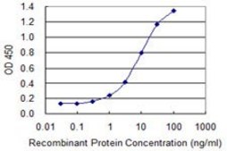 Monoclonal Anti-IFT122 antibody produced in mouse clone 3E11, purified immunoglobulin, buffered aqueous solution
