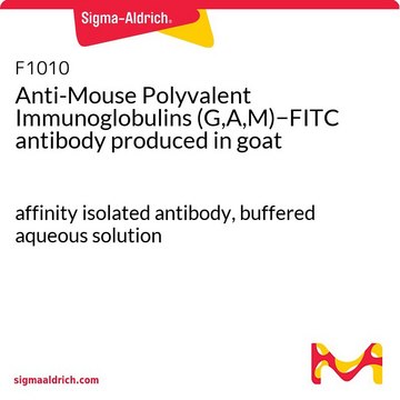 Anti-Mouse Polyvalent Immunoglobulins (G,A,M)&#8722;FITC antibody produced in goat affinity isolated antibody, buffered aqueous solution