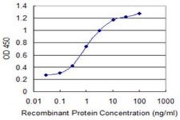 Monoclonal Anti-SPA17 antibody produced in mouse clone 3B6, purified immunoglobulin, buffered aqueous solution