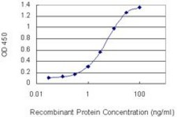 Monoclonal Anti-B3GALT6 antibody produced in mouse clone 3E5, purified immunoglobulin, buffered aqueous solution