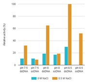 Salt Active Nuclease (SAN) Heat-labile, recombinant, expressed in Pichia pastoris, Triton-free