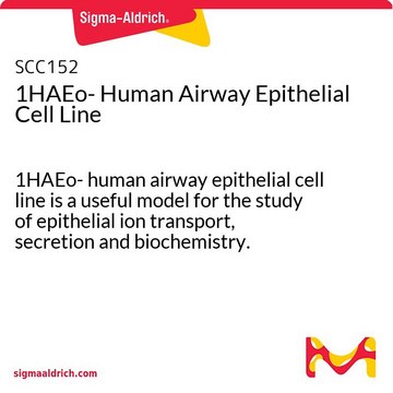 1HAEo- Human Airway Epithelial Cell Line 1HAEo- human airway epithelial cell line is a useful model for the study of epithelial ion transport, secretion and biochemistry.