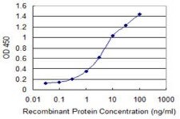 Monoclonal Anti-ZMYND10 antibody produced in mouse clone 3D11, purified immunoglobulin, buffered aqueous solution