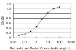 Monoclonal Anti-PPP1R14A antibody produced in mouse clone 3A7, purified immunoglobulin, buffered aqueous solution