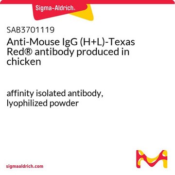 Anti-Mouse IgG (H+L)-Texas Red&#174; antibody produced in chicken affinity isolated antibody, lyophilized powder