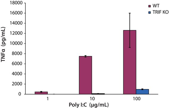 Polyinosinic–polycytidylic acid sodium salt TLR ligand tested