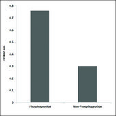 Anti-phospho-VEGFR2 (pTyr951) antibody produced in rabbit affinity isolated antibody