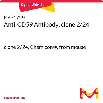 Anti-CD59 Antibody, clone 2/24 clone 2/24, Chemicon&#174;, from mouse