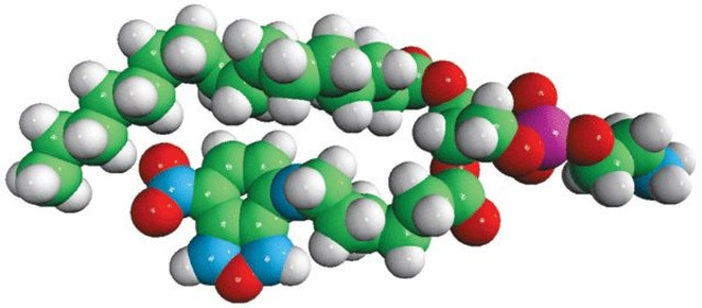 16:0-06:0 NBD PE Avanti Polar Lipids 810153P, powder