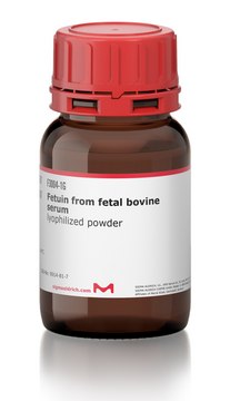 胎球蛋白 from fetal bovine serum lyophilized powder