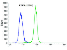 Anti-PTEN antibody, Rabbit monoclonal recombinant, expressed in proprietary host, clone SP218, affinity isolated antibody