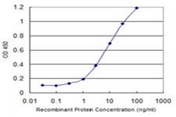 Monoclonal Anti-RHBDL2, (N-terminal) antibody produced in mouse clone 2H1, purified immunoglobulin, buffered aqueous solution