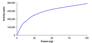 ERK1, active, GST tagged human PRECISIO®, recombinant, expressed in E. coli, ≥70% (SDS-PAGE), buffered aqueous glycerol solution