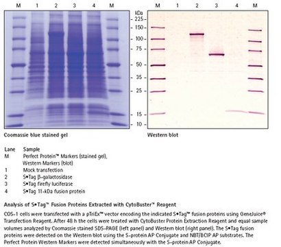 CytoBuster蛋白提取试剂 Simple extraction of soluble protein from mammalian and insect cells