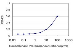 ANTI-ELF3 antibody produced in mouse clone 2G9, purified immunoglobulin, buffered aqueous solution
