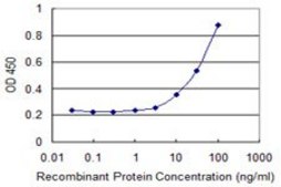 Monoclonal Anti-NXF3, (N-terminal) antibody produced in mouse clone 2C7, purified immunoglobulin, buffered aqueous solution