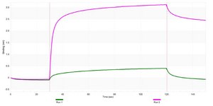 Anti-CHD4 Antibody, clone 1C17 ZooMAb® Rabbit Monoclonal recombinant, expressed in HEK 293 cells