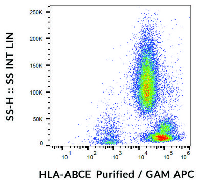 Monoclonal Anti-HLAABCE antibody produced in mouse clone TP25.99SF