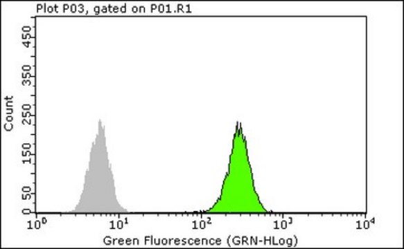 Anti-c-Jun Antibody, clone 6E4.4 clone 6E4.4, from mouse