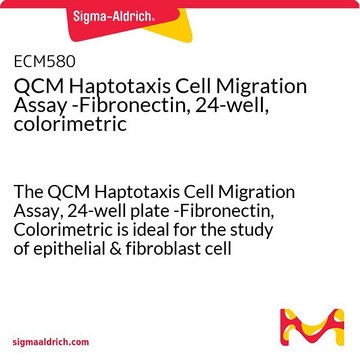 QCM Haptotaxis Cell Migration Assay -Fibronectin, 24-well, colorimetric The QCM Haptotaxis Cell Migration Assay, 24-well plate -Fibronectin, Colorimetric is ideal for the study of epithelial &amp; fibroblast cell haptotaxis.