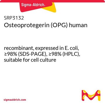 Osteoprotegerin (OPG) human recombinant, expressed in E. coli, &#8805;98% (SDS-PAGE), &#8805;98% (HPLC), suitable for cell culture