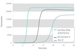 Bst Max DNA Polymerase recombinant, expressed in E. coli, Salt and Inhibitor Tolerant