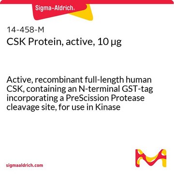 CSK Protein, active, 10 &#181;g Active, recombinant full-length human CSK, containing an N-terminal GST-tag incorporating a PreScission Protease cleavage site, for use in Kinase Assays.