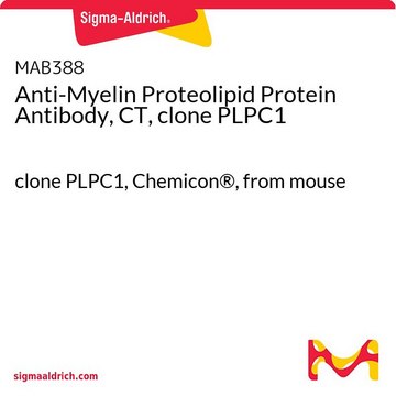 Anti-Myelin Proteolipid Protein Antibody, CT, clone PLPC1 clone PLPC1, Chemicon&#174;, from mouse