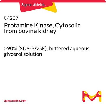 Protamine Kinase, Cytosolic from bovine kidney &gt;90% (SDS-PAGE), buffered aqueous glycerol solution