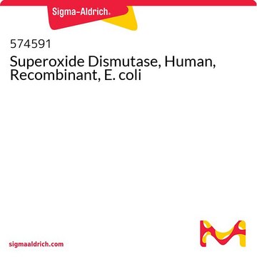 Superoxide Dismutase, Human, Recombinant, E. coli