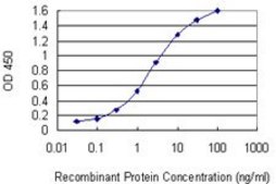 Monoclonal Anti-GSTT2 antibody produced in mouse clone 1C12, purified immunoglobulin, buffered aqueous solution