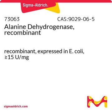 丙氨酸脱氢酶，重组 recombinant, expressed in E. coli, &#8805;15&#160;U/mg