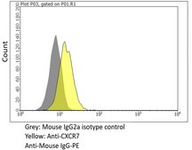 Anti-CXCR7 Antibody, clone 10D1