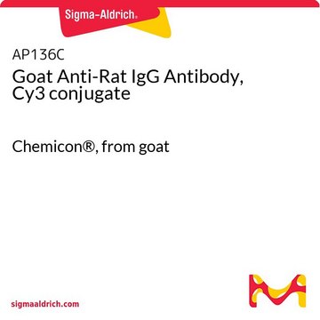 山羊抗大鼠IgG抗体，Cy3偶联 Chemicon&#174;, from goat