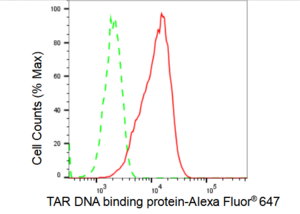 KD-Validated Anti TAR DNA binding protein Antibody, clone 23GB4730, Rabbit Monoclonal clone 23GB4730, recombinant rabbit monoclonal, expressed in HEK293 cells