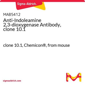 Anti-Indoleamine 2,3-dioxygenase Antibody, clone 10.1 clone 10.1, Chemicon&#174;, from mouse