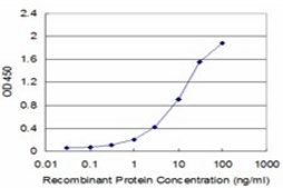 Monoclonal Anti-CRYAB antibody produced in mouse clone 4E8-1C5, purified immunoglobulin, buffered aqueous solution