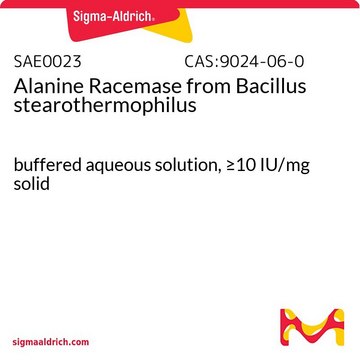 Alanine Racemase from Bacillus stearothermophilus buffered aqueous solution, &#8805;10&#160;IU/mg solid