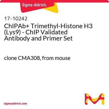 ChIPAb+三甲基组蛋白H3(Lys9) - ChIP免疫沉淀验证抗体和引物试剂套装 clone CMA308, from mouse