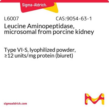 Leucine Aminopeptidase, microsomal from porcine kidney Type VI-S, lyophilized powder, &#8805;12&#160;units/mg protein (biuret)