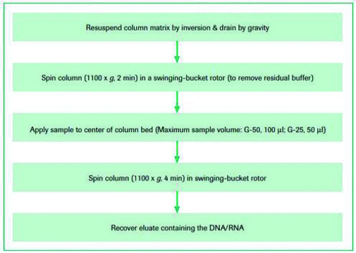 Quick Spin Columns for radiolabeled DNA purification Sephadex G-25, fine