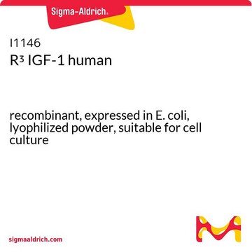 R3 IGF-1 human recombinant, expressed in E. coli, lyophilized powder, suitable for cell culture