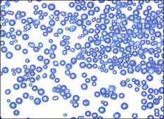 Supel™ Sphere Carbon/NH2 SPE Tube volume 6 mL, pk of 30