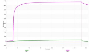 Anti-SETD5 Antibody, clone 3B22 ZooMAb® Rabbit Monoclonal recombinant, expressed in HEK 293 cells