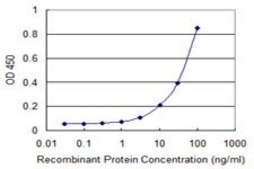 Monoclonal Anti-GPR84 antibody produced in mouse clone 5C3, purified immunoglobulin, buffered aqueous solution
