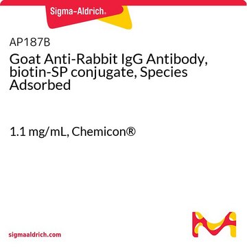 Goat Anti-Rabbit IgG Antibody, biotin-SP conjugate, Species Adsorbed 1.1&#160;mg/mL, Chemicon&#174;