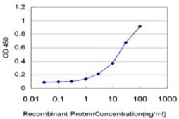 Monoclonal Anti-USP10 antibody produced in mouse clone 3B8, purified immunoglobulin, buffered aqueous solution