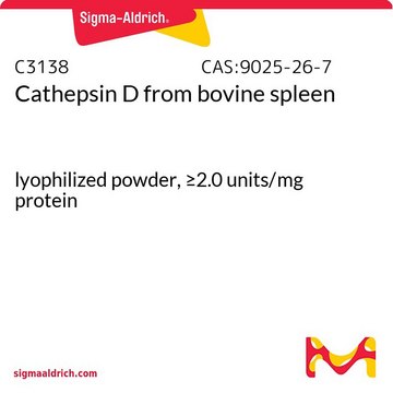 组织蛋白酶D 来源于牛脾脏 lyophilized powder, &#8805;2.0&#160;units/mg protein